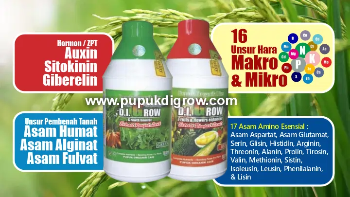DIGROW Mengandung 16 Unsur Hara, Hormon ZPT, Asam Amino, Asam Humat, Asam Fulvat, Asam Alginat 702 x 405